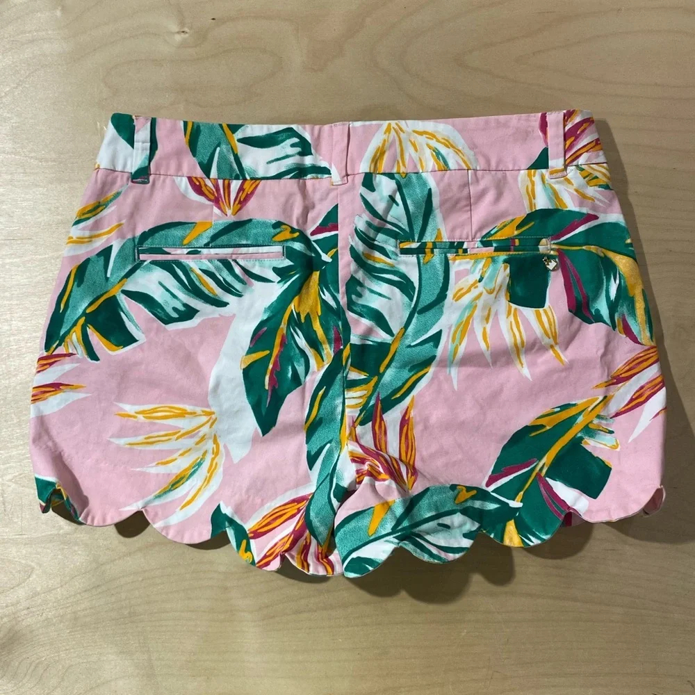 Crown & Ivy Pink and Green Tropical Print Women Shorts 10 Shelby (B)